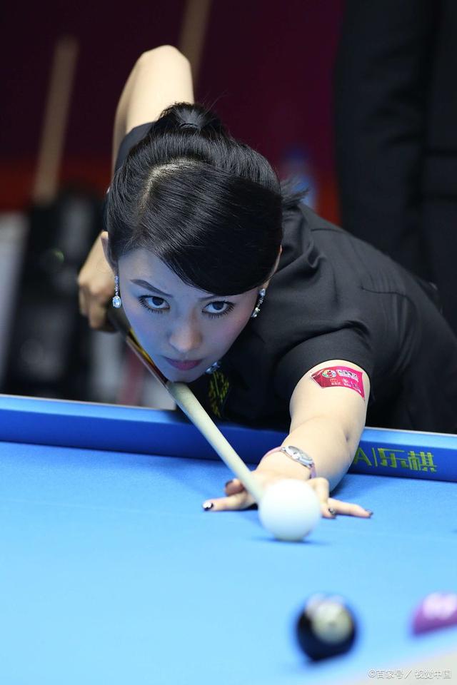 国际象棋狮 国际象棋狮